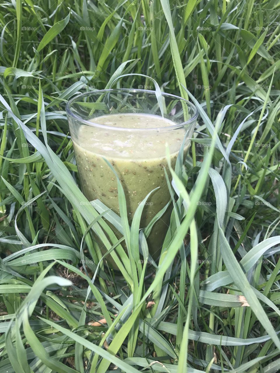 Drink smoothie fruits Grass nature healthy