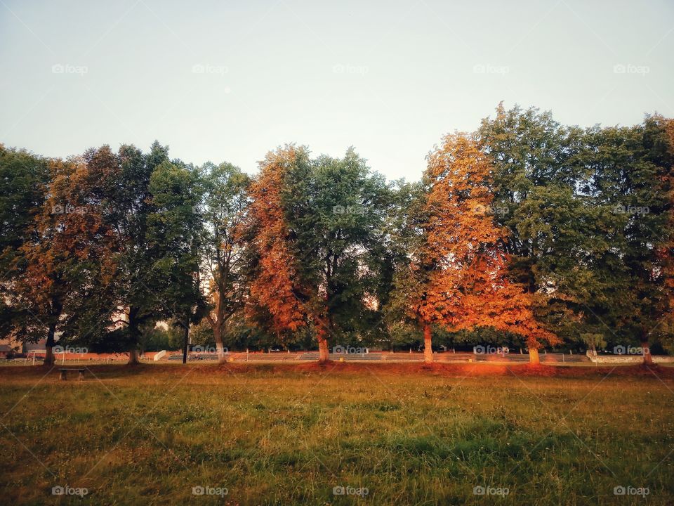 Can a morning be awful with such a landscape?