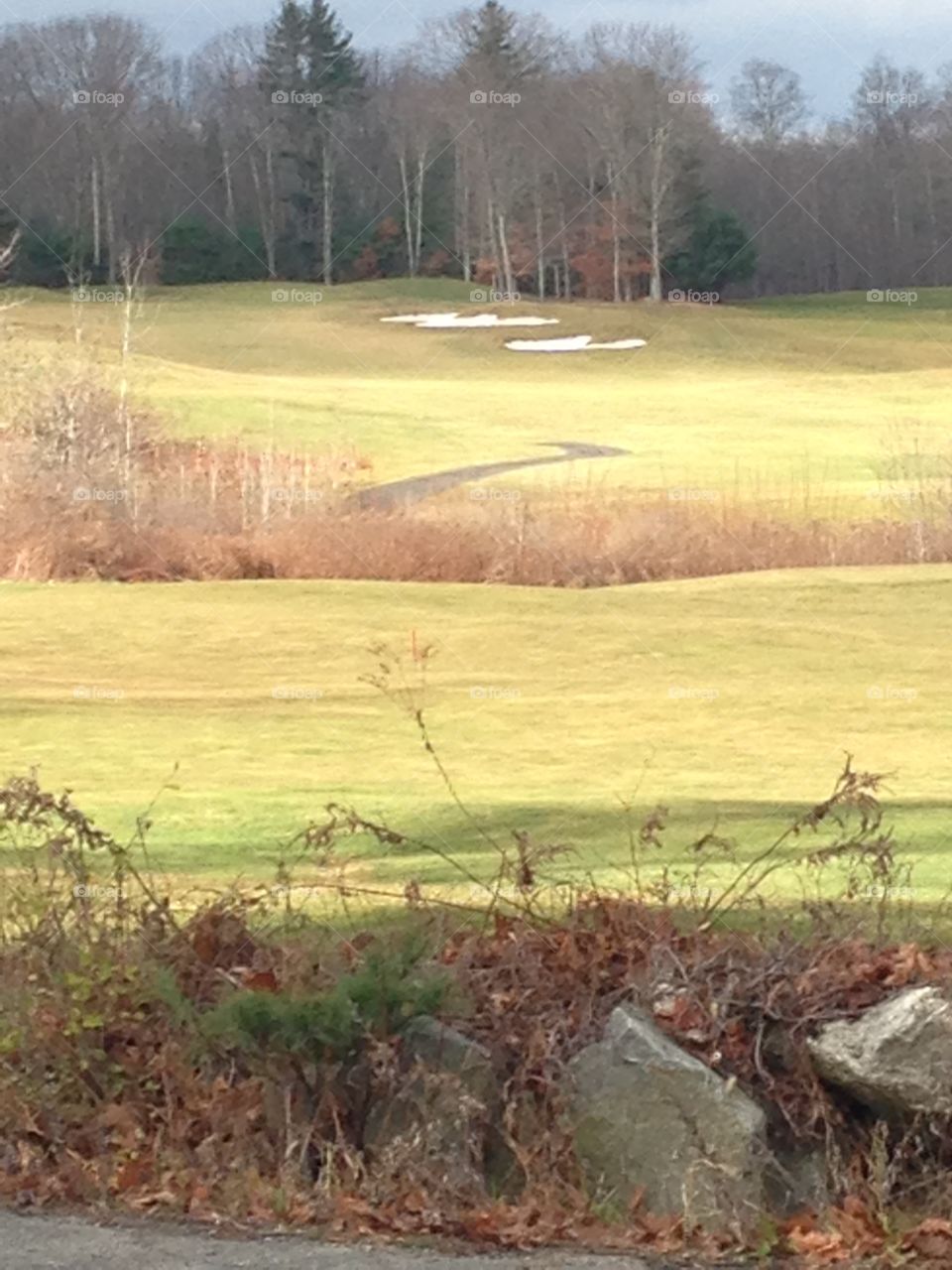 So fortunate to be looking out my bedroom window to see the golf course 