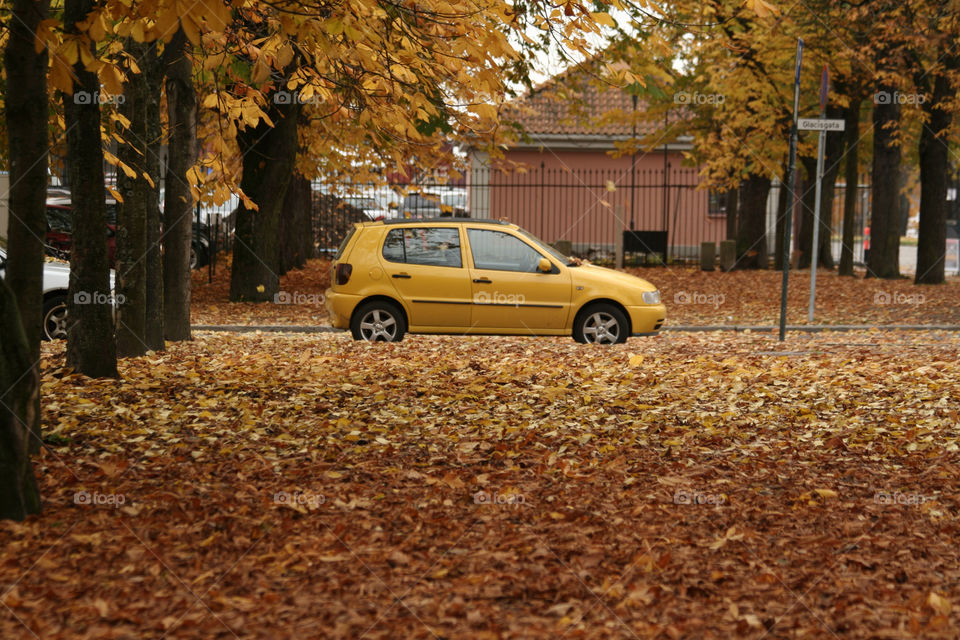 yellow autumn oslo mission5 by nader_esk