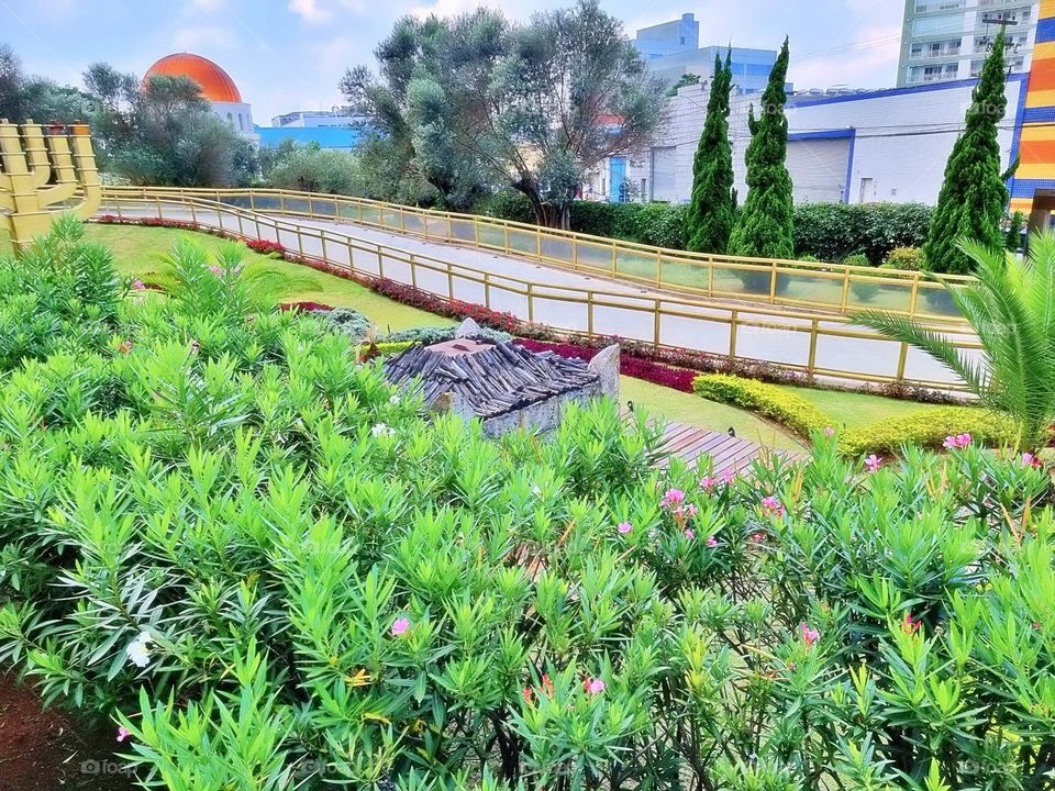 textile peony boho elegant branch season classic collection element colorful luxury paint beautiful tropical frame artistic wild holiday greenery exotic botany foliage romantic beauty petal rose decor flora natural ornament flower floral summer sprin