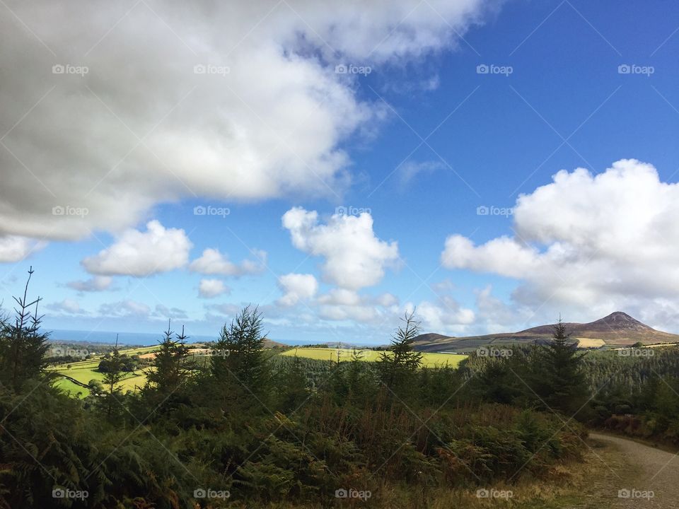 Landscape, Tree, Sky, Nature, No Person