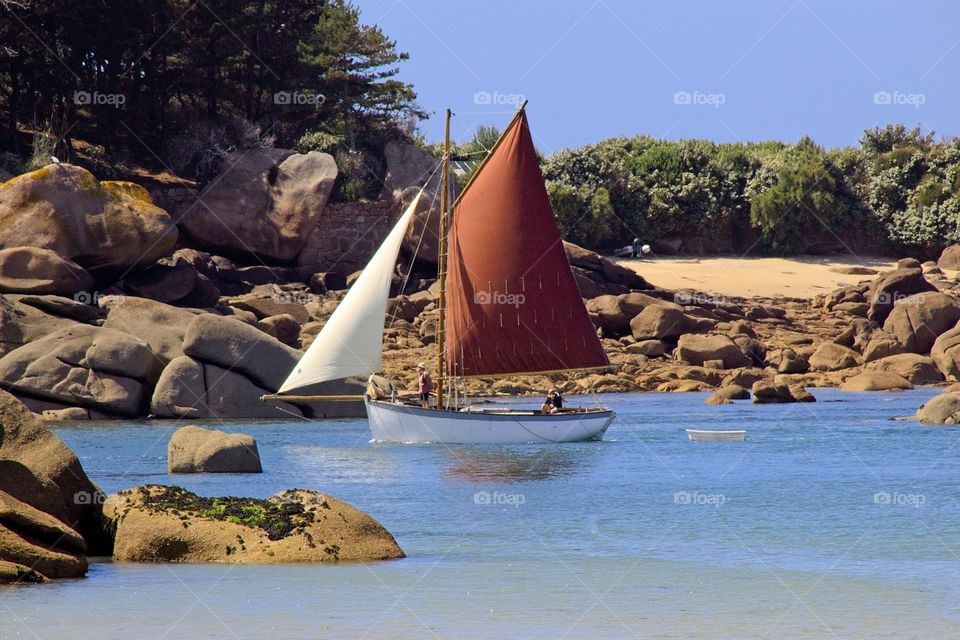 sailboat on the sea