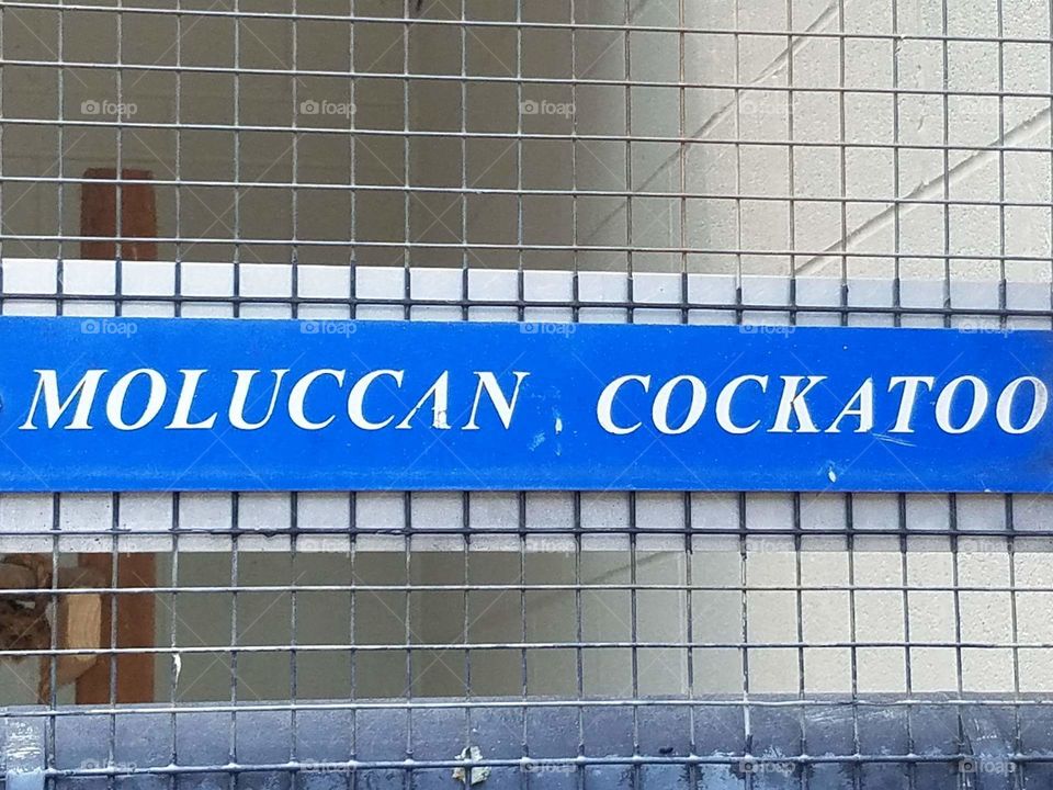cockatoo sign