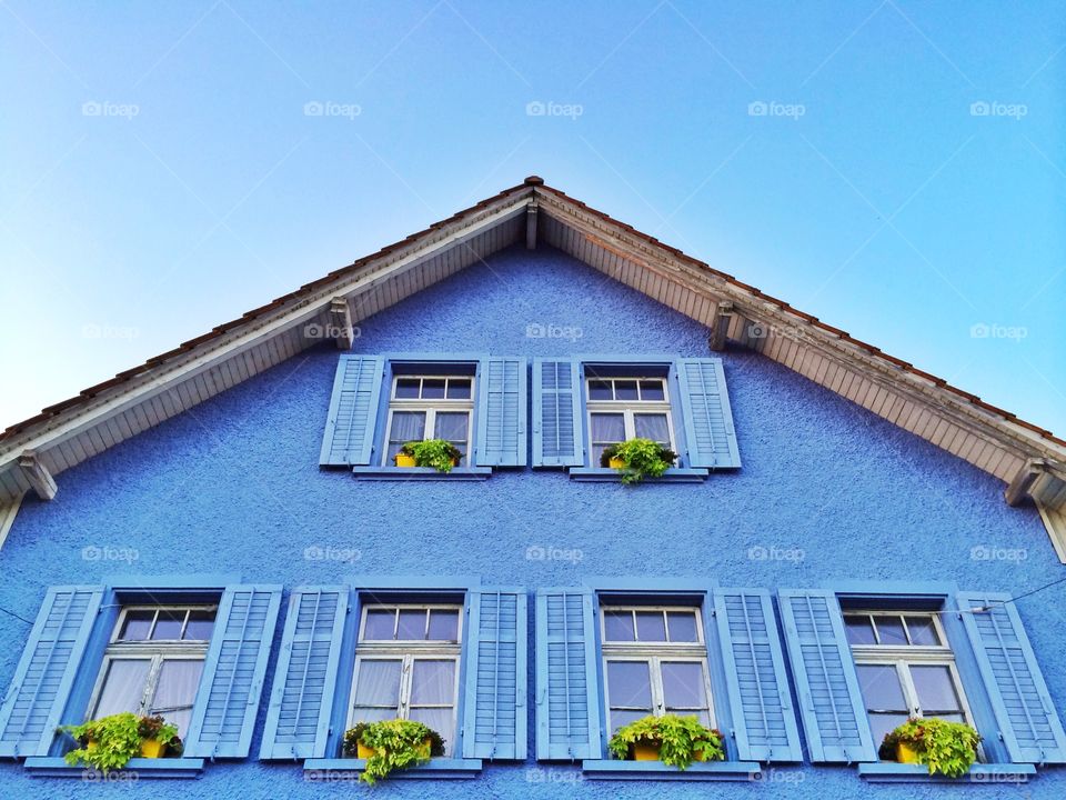 Blue windows. Blue windows with shutters