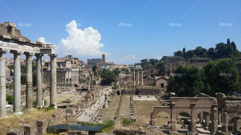 Roman forum, Rome, Italy