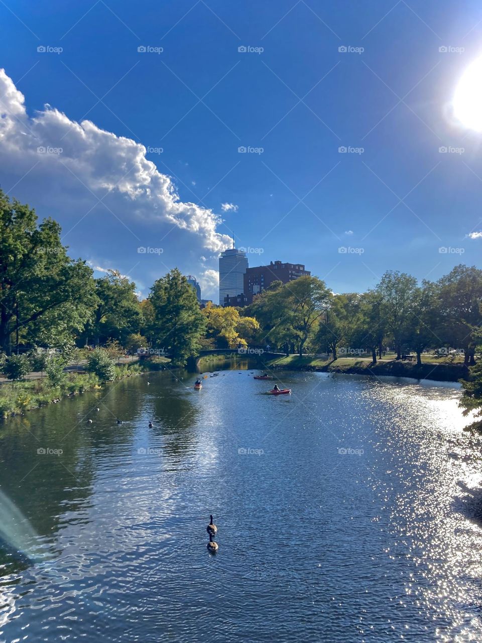 Stillness by the city