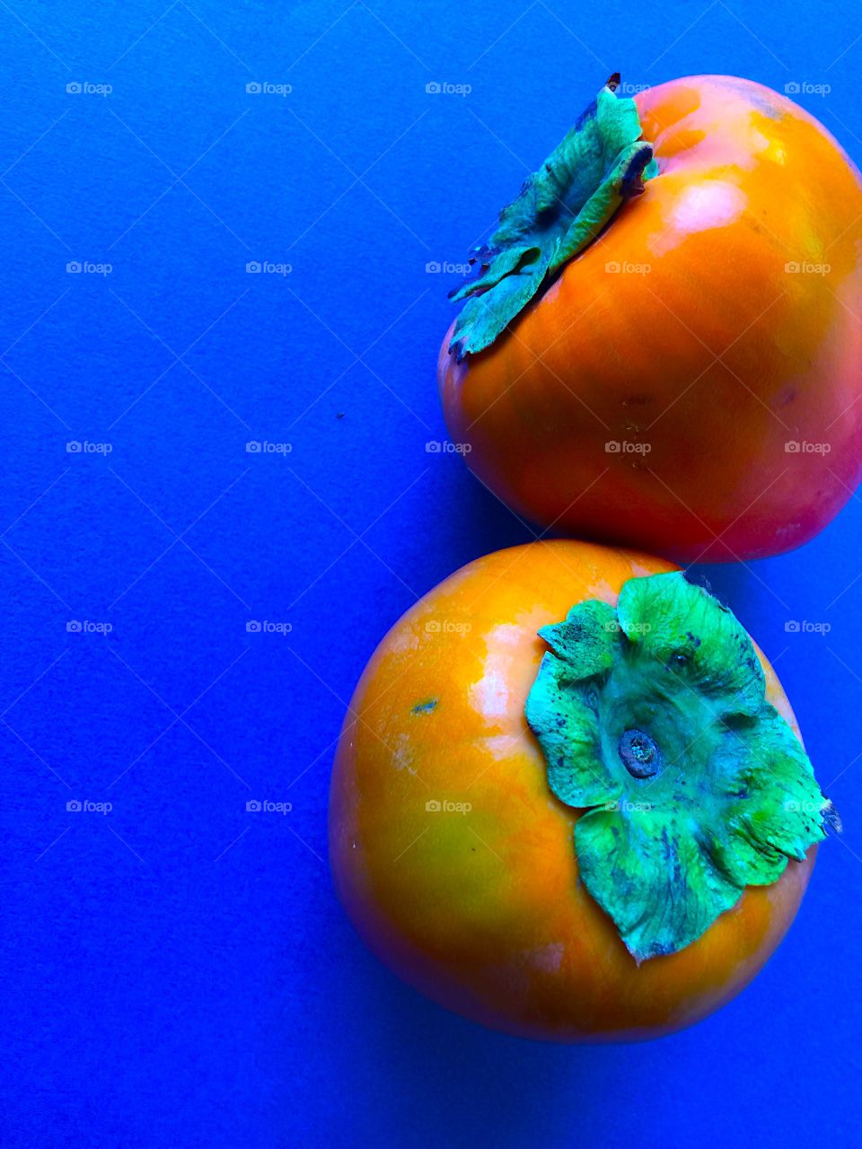 Two persimmons on blue background