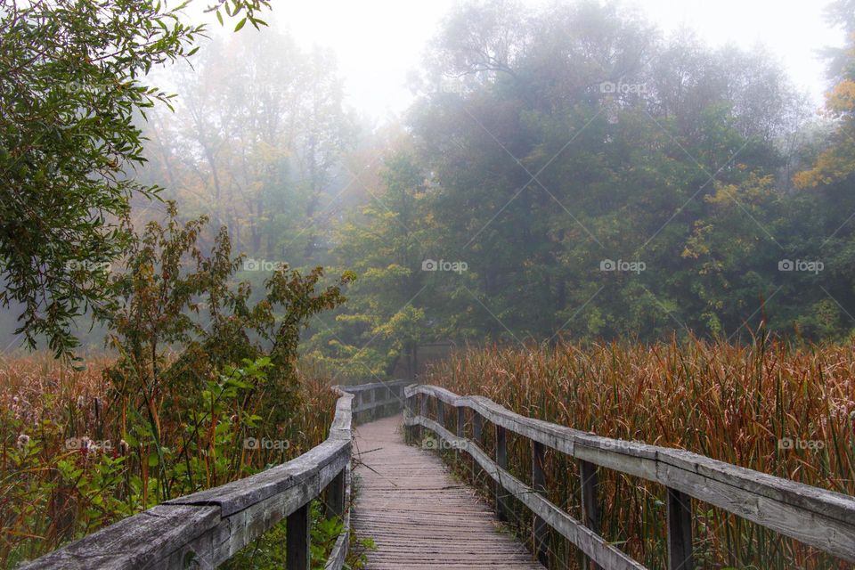 Wooden boardwalk on a foggy autumn morning