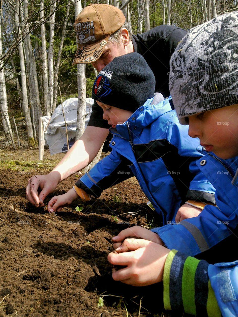 Planting together