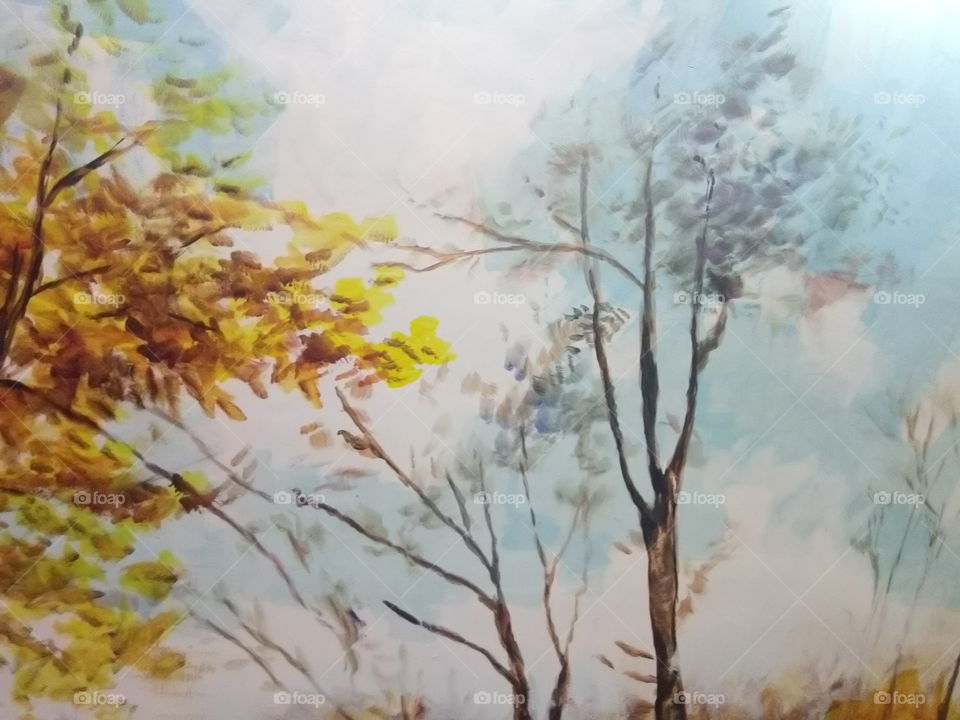 Fall, Nature, No Person, Leaf, Tree