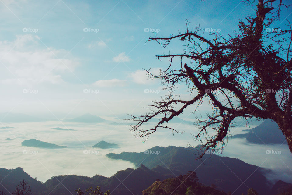 Mountin valley during sunrise. Natural summer landscape