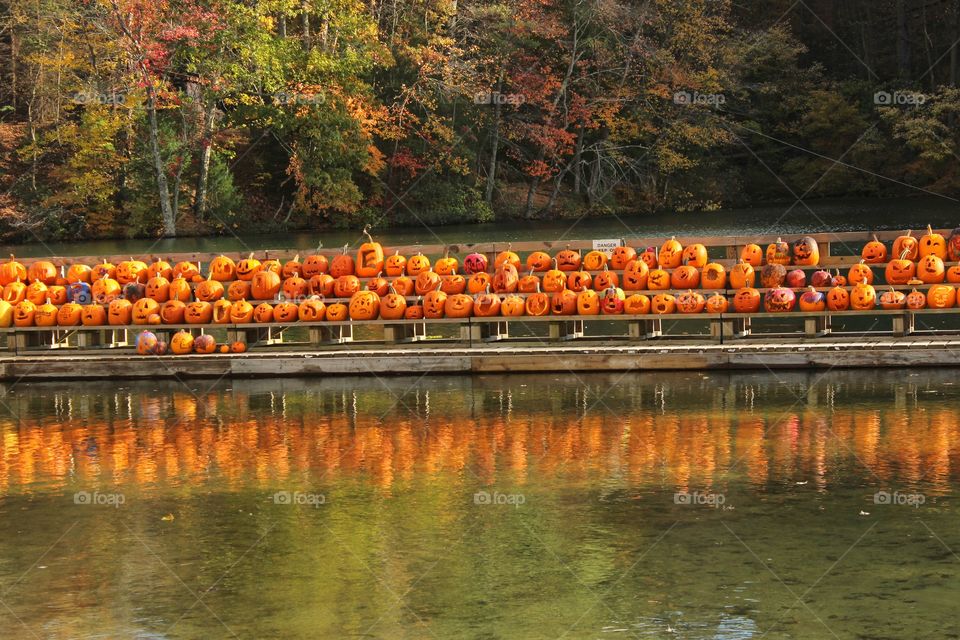 pumpkin reflections