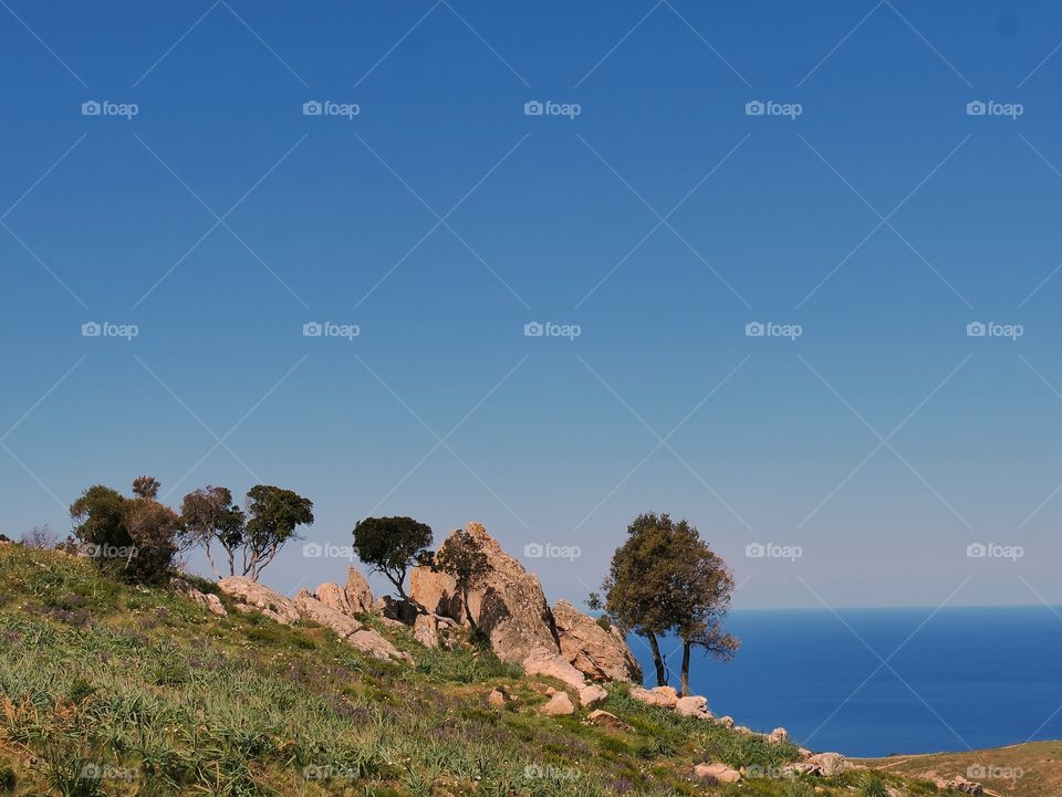 corsica