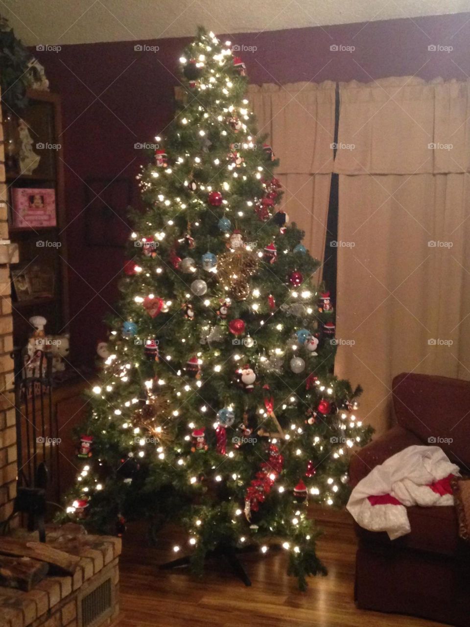 Christmas, Christmas Tree, Winter, Tree, Pine