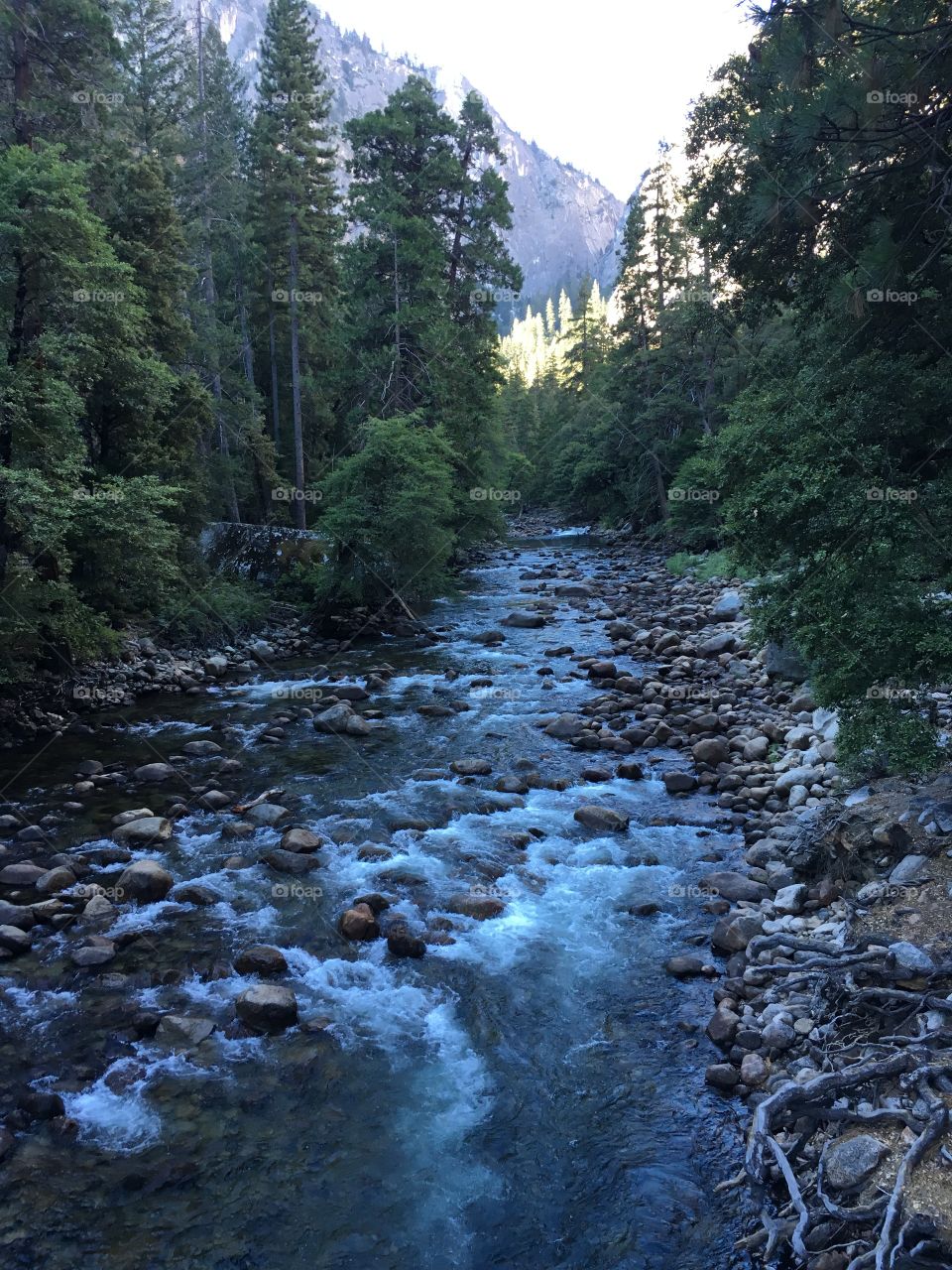 Merced River, Yosemite