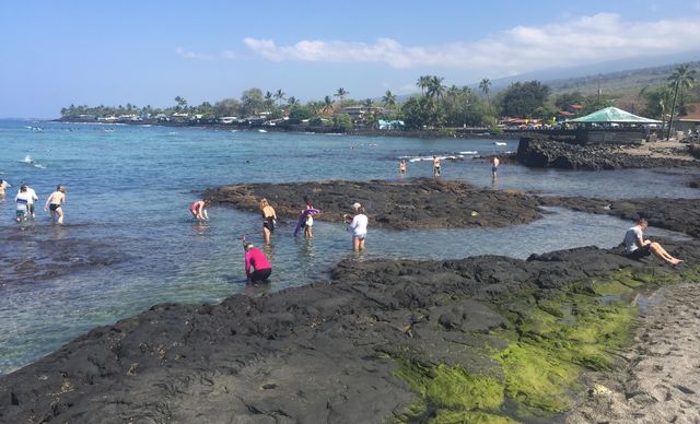 Snorkeling, wading, sunbathing...summertime fun.