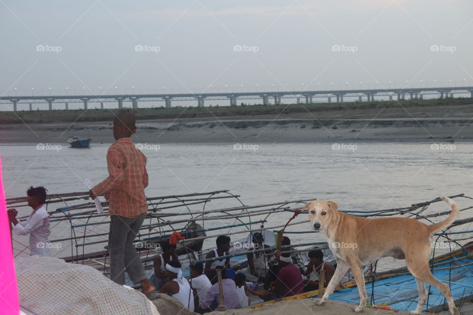 a boy and dog walk ganga river side in allhabaad india
