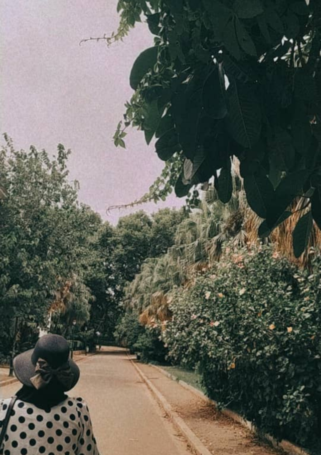 Just walking 