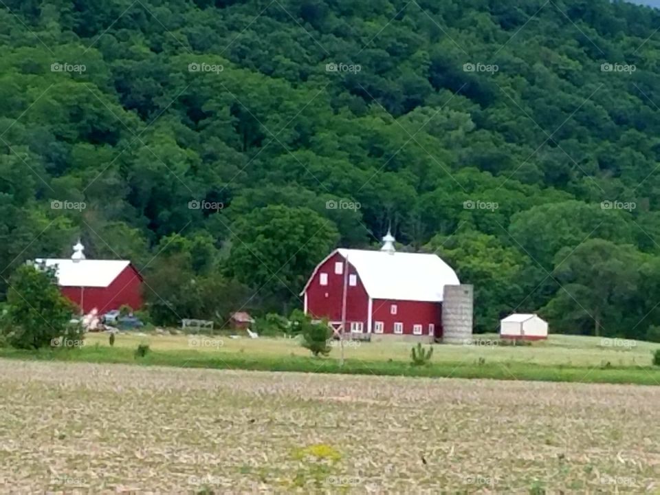 Driving the Back Roads and enjoying everything around us