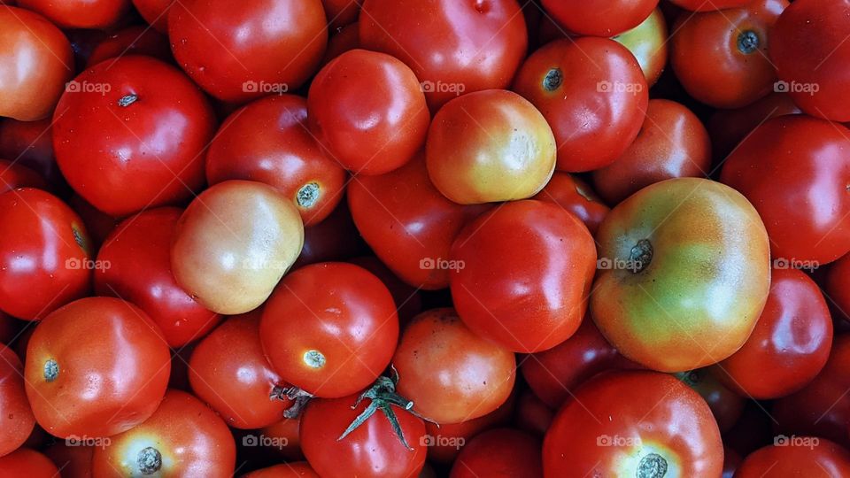 tomatoes