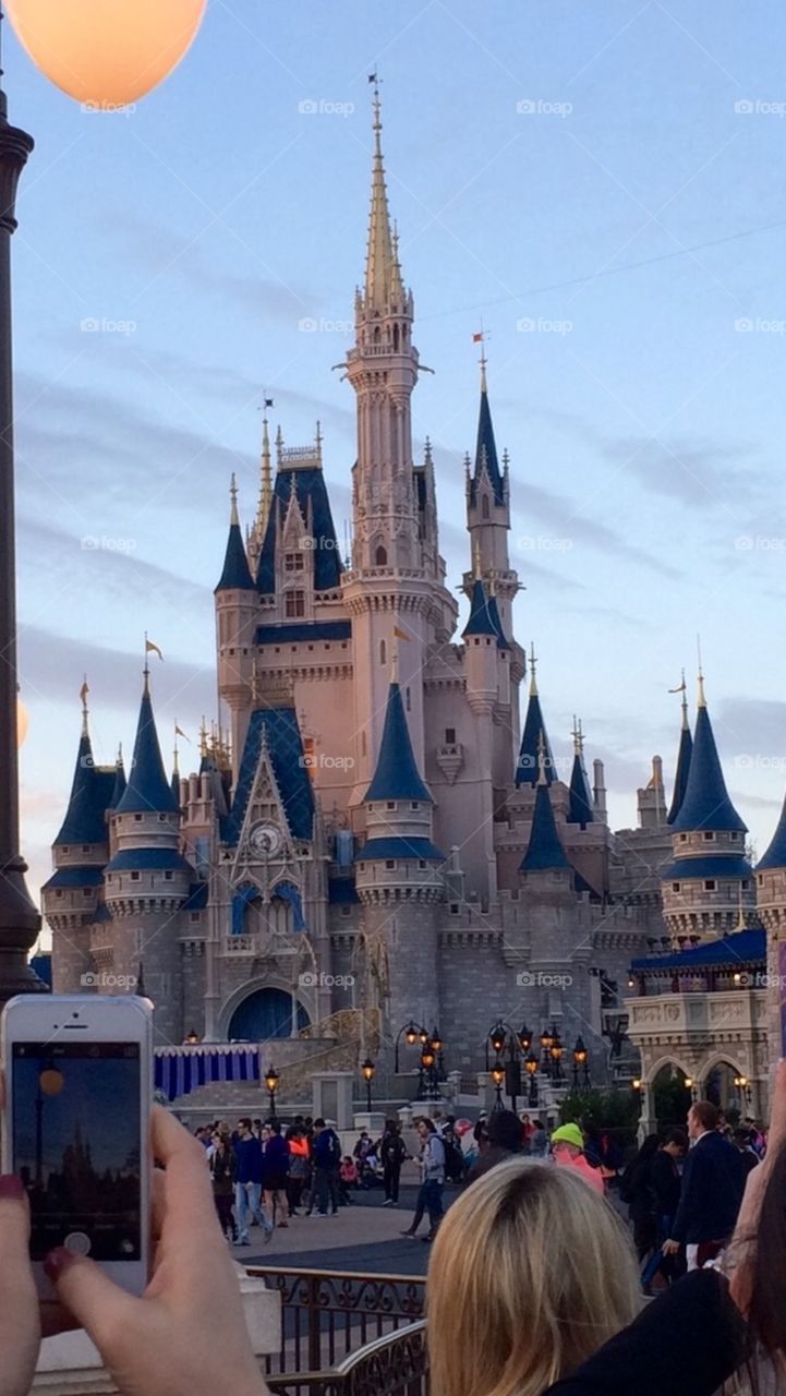 Cinderellas castle 