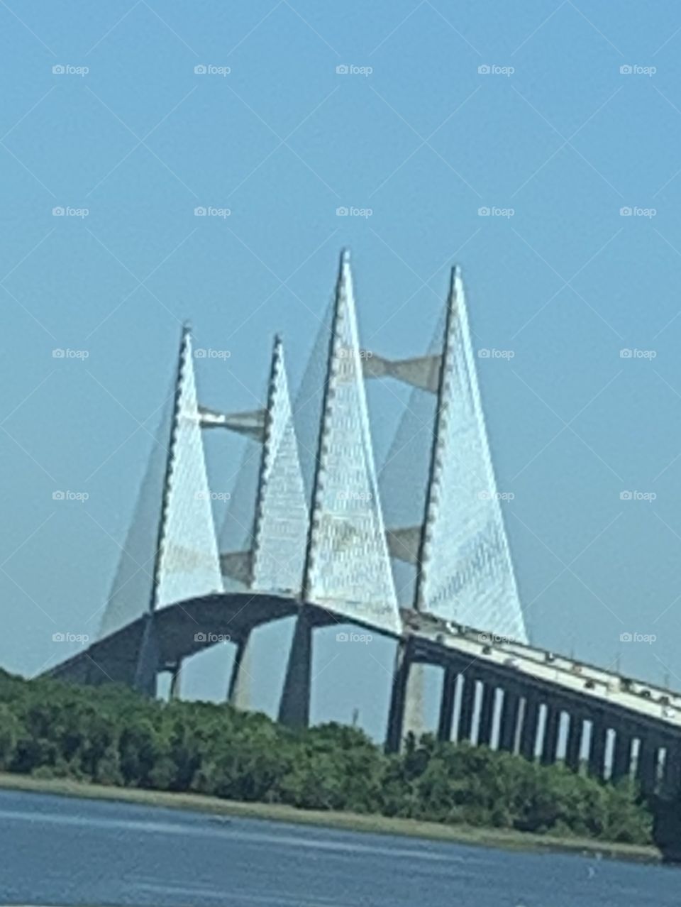 Amazing bridge architecture
