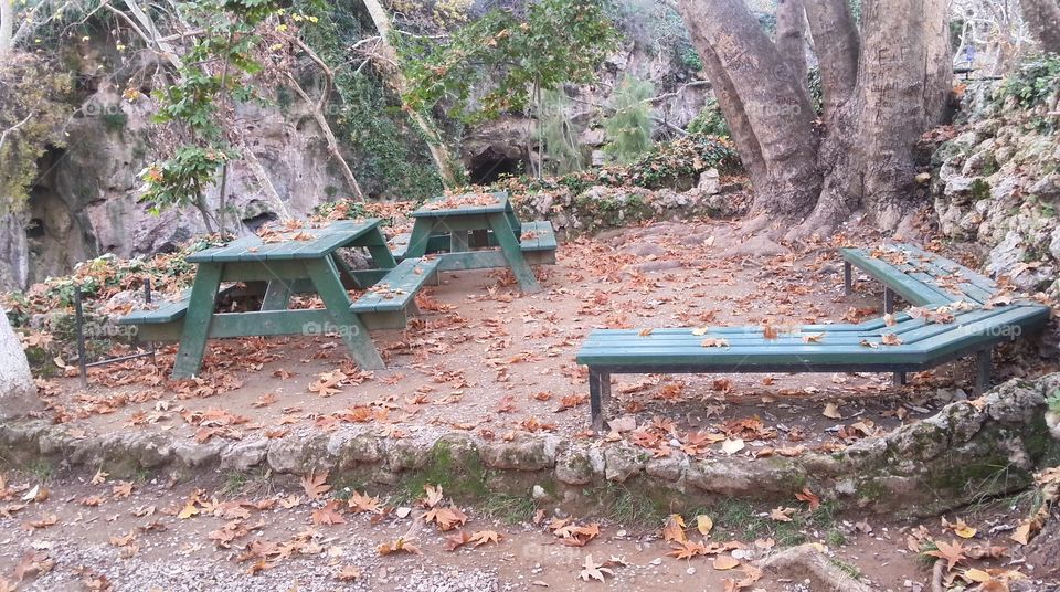 bench