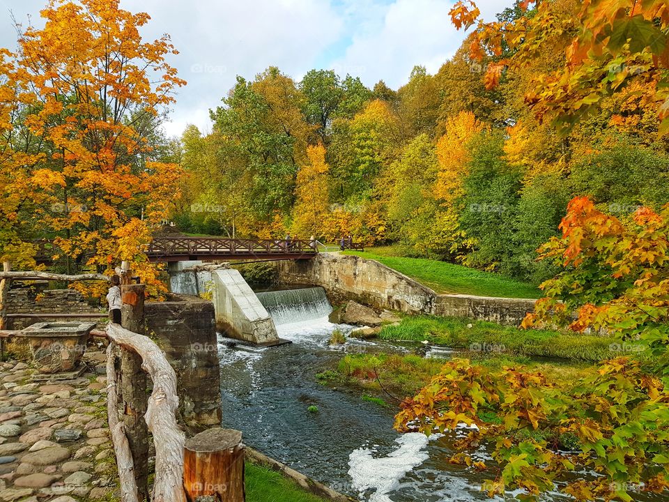 That morning walks in autumn bring a different mood.