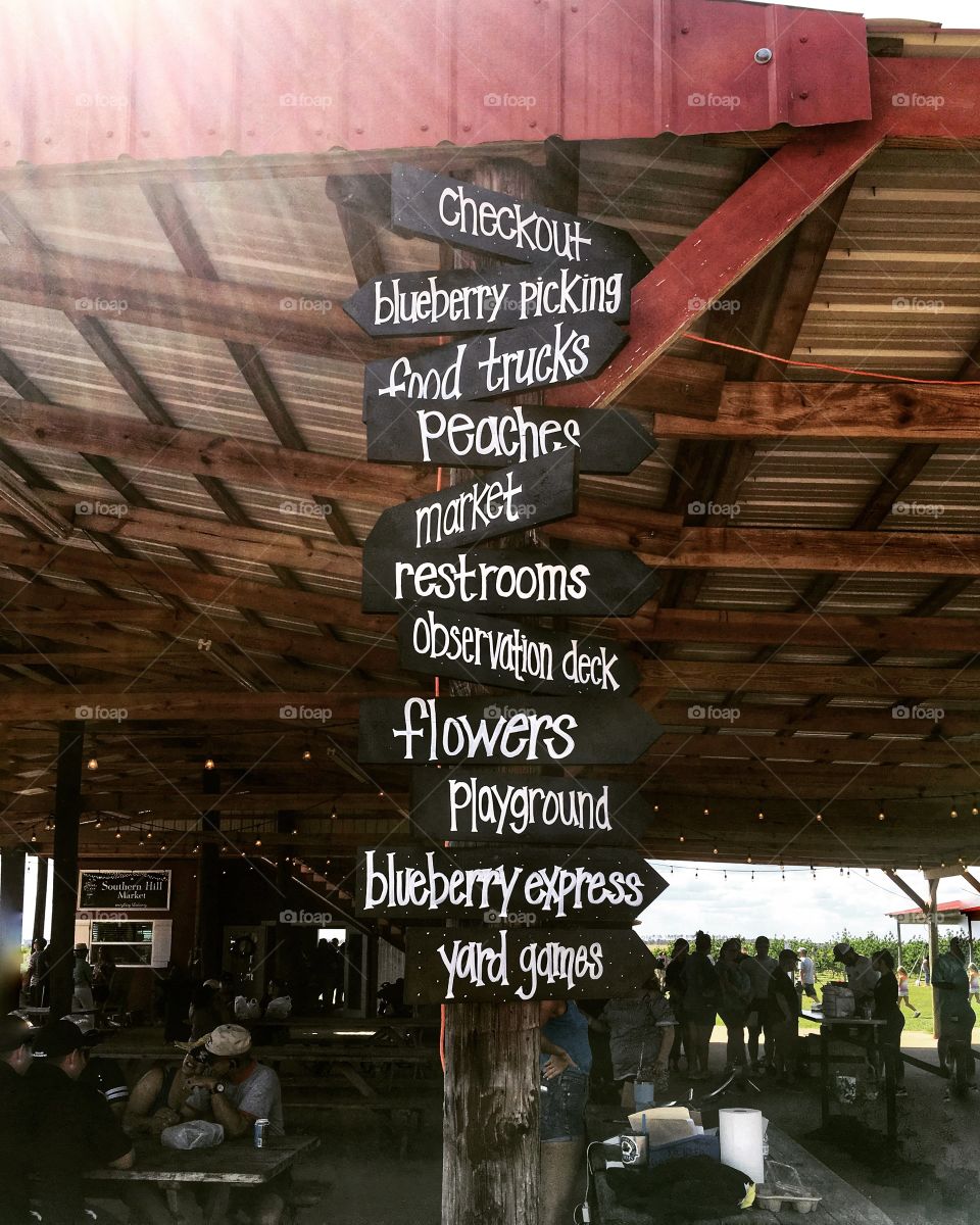 Take me back to the farm 