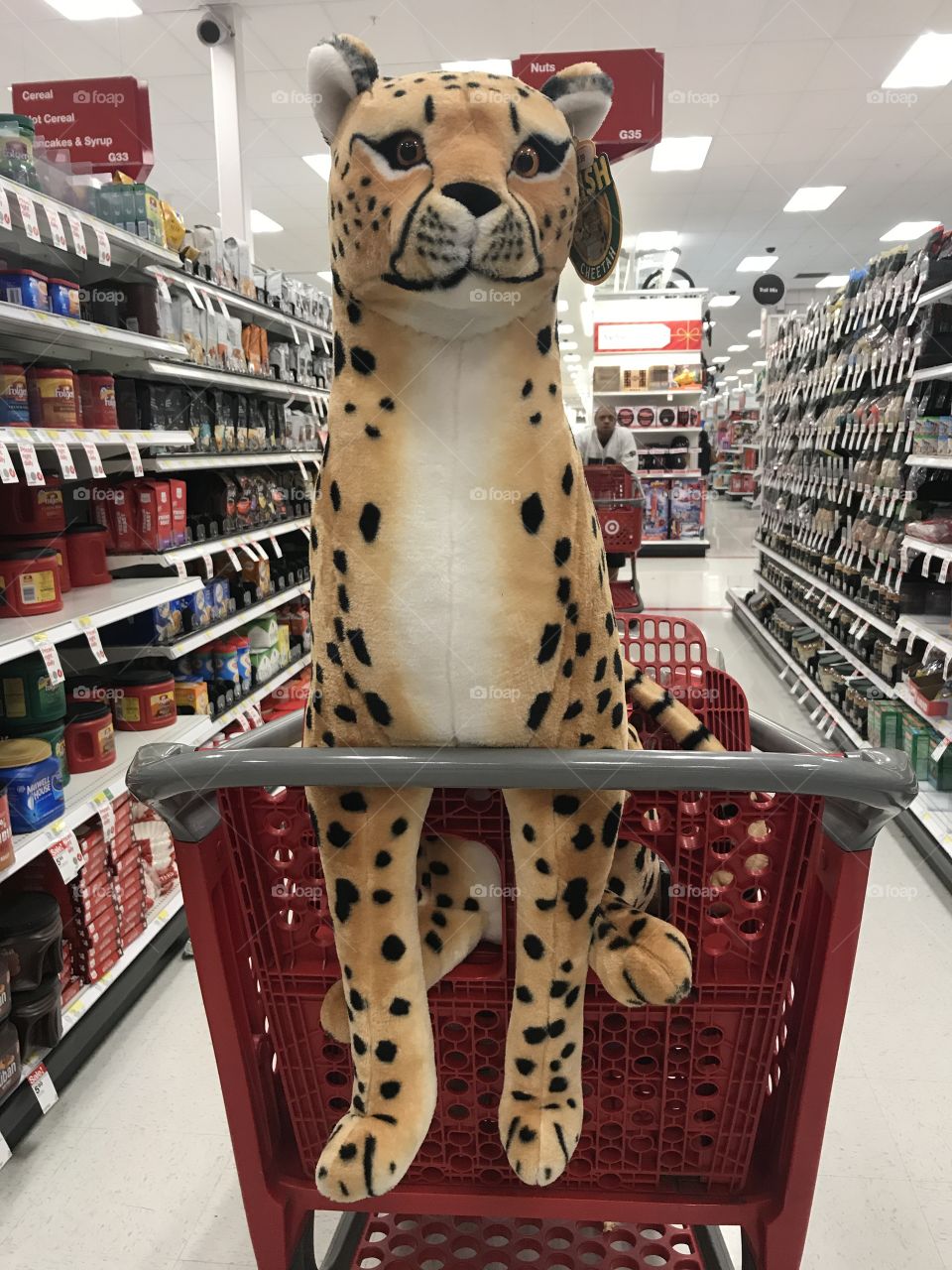 Cheetah in a grocery cart