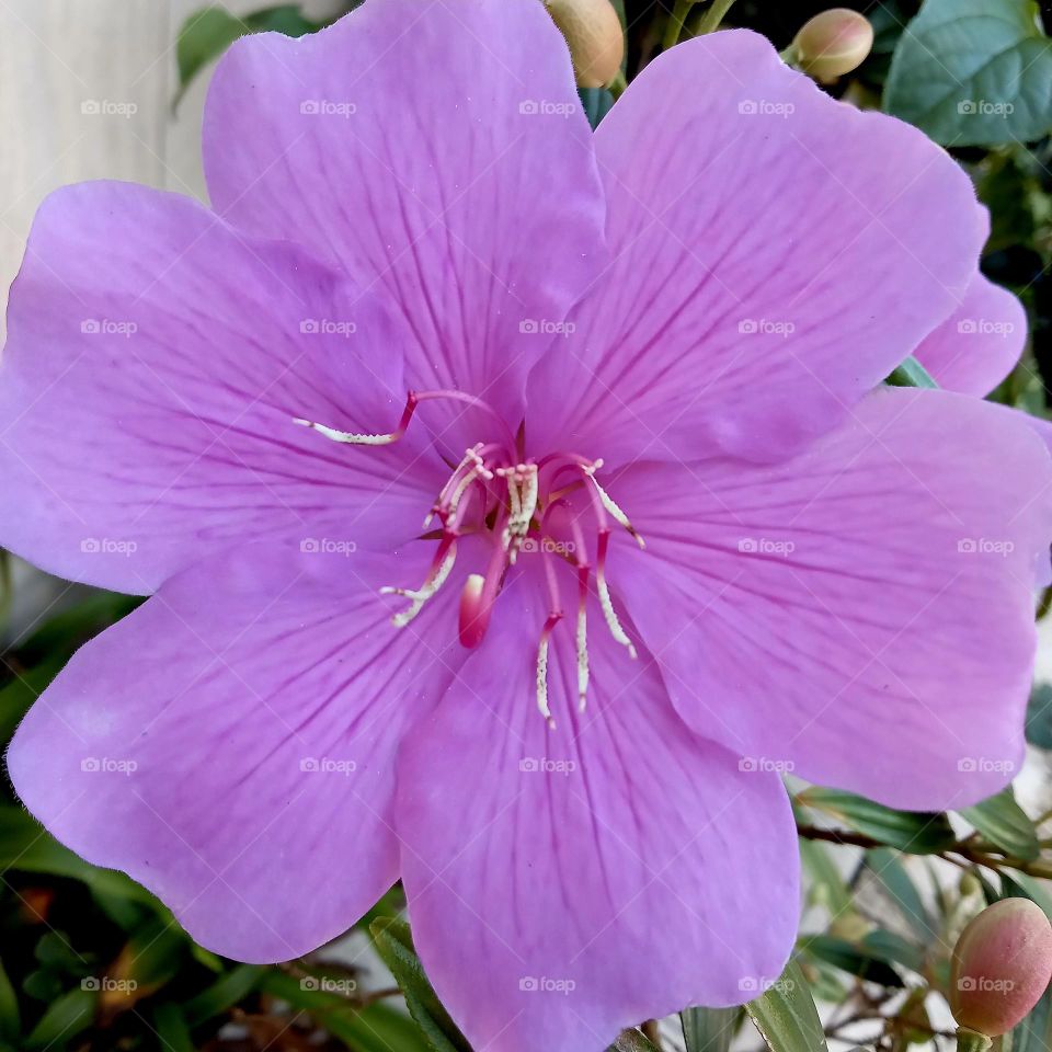 beautiful colors in spring