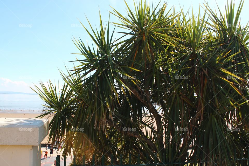 Barry Island 