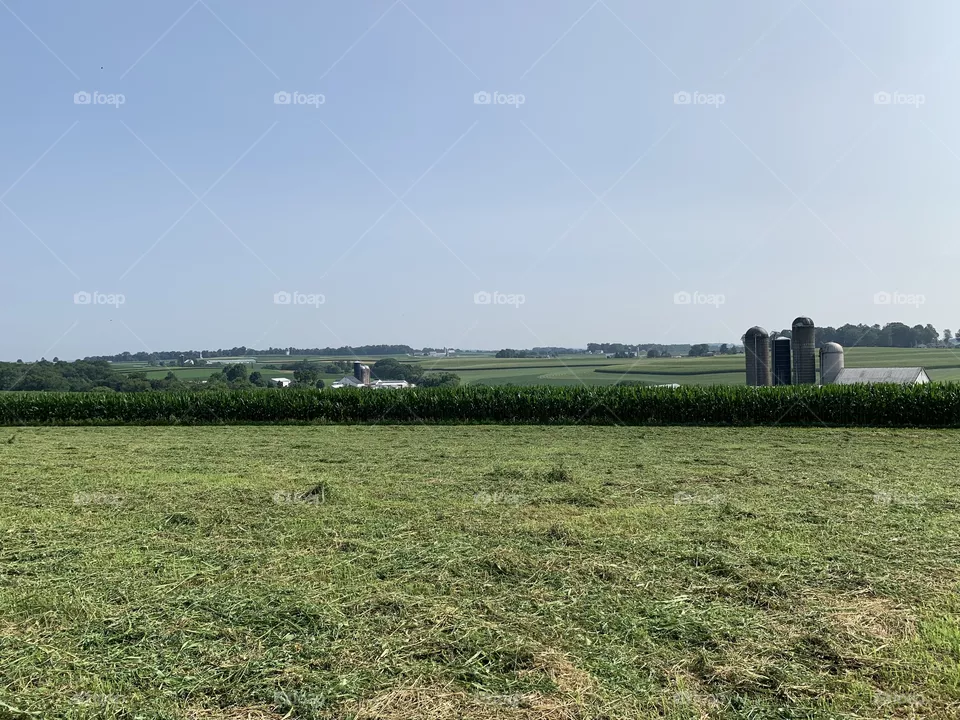 Farm