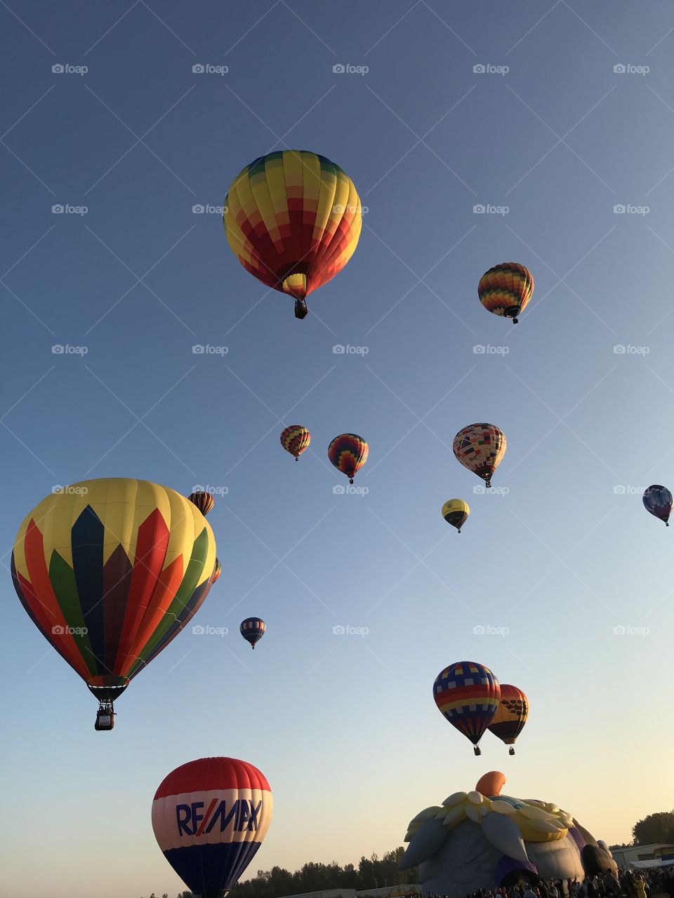 Fall hot air balloon festival at sunrise