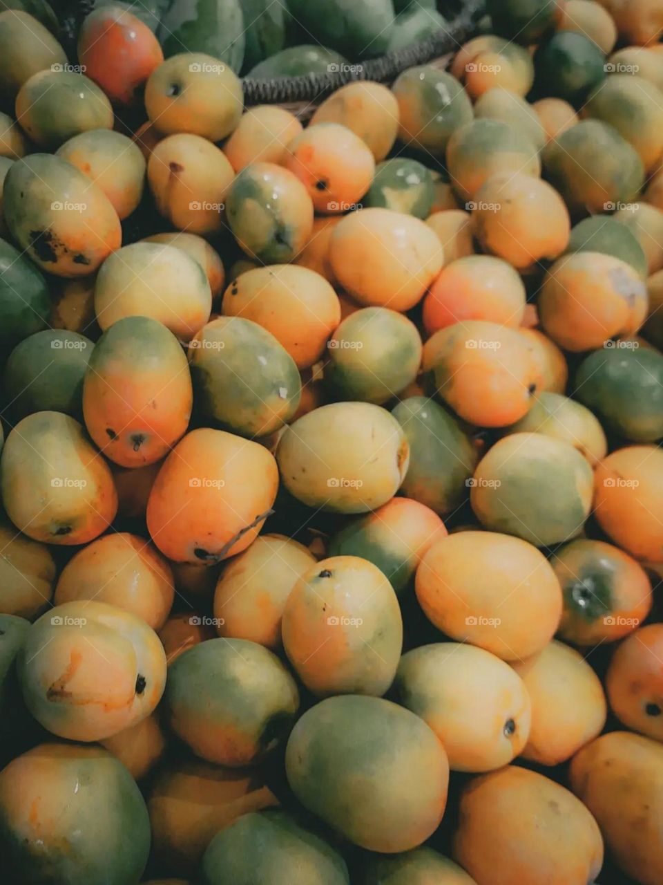 Close-up of a bunch of green and orange mango fruits. The mangoes have a uniform size, small and round in high angle view