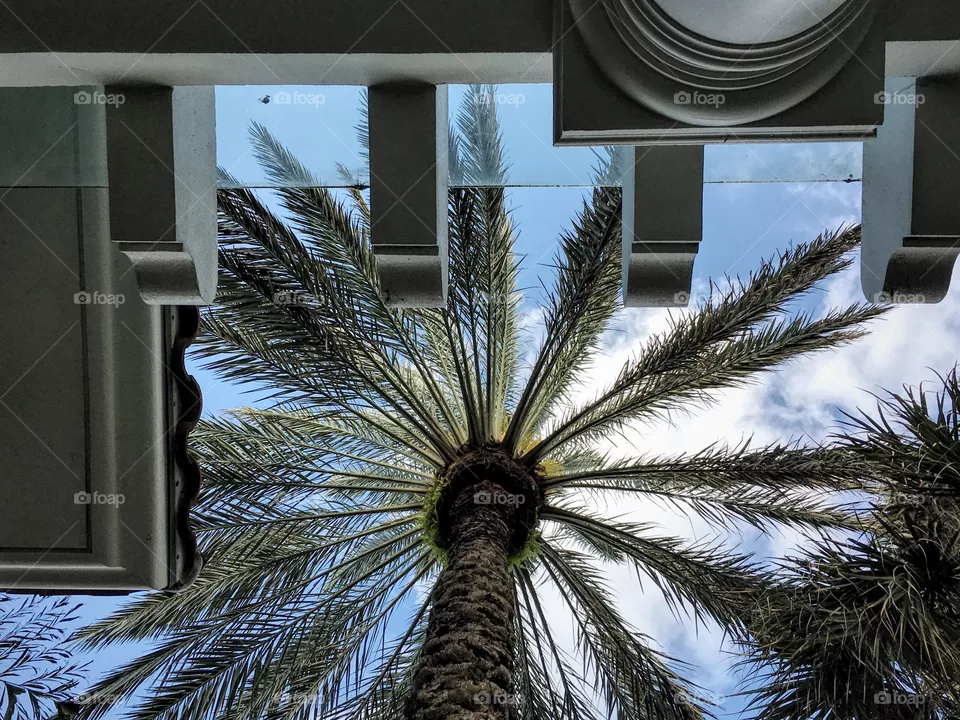 Look up
