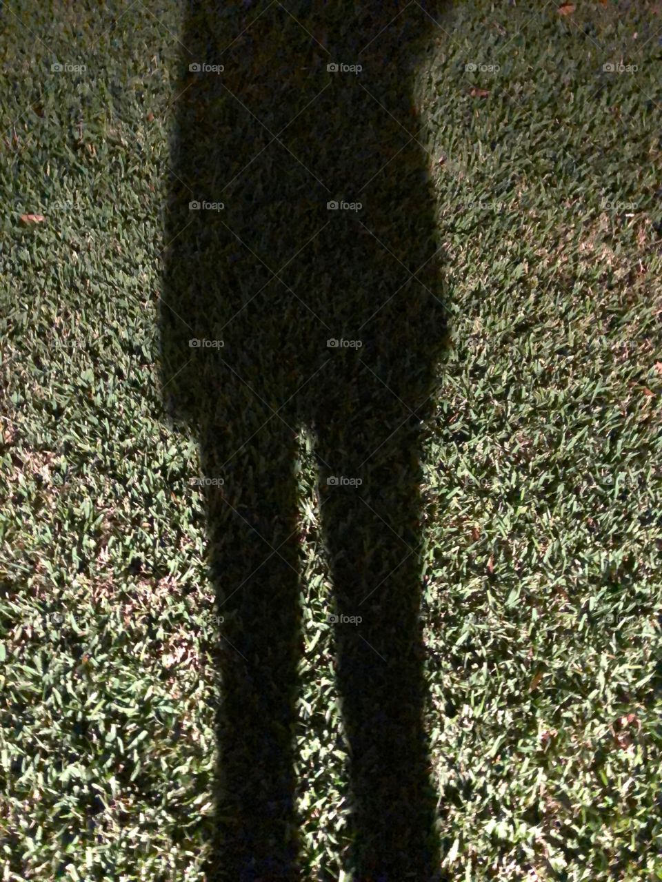Silhouette of woman Dark shadow on seemingly vertical lit up grass at night