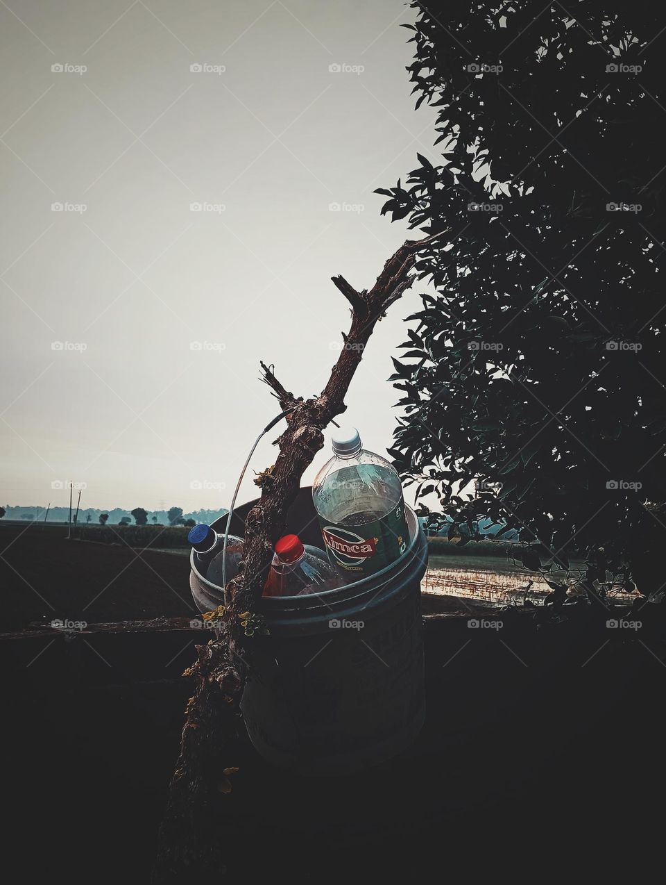 #tree # nature# beautiful# photography