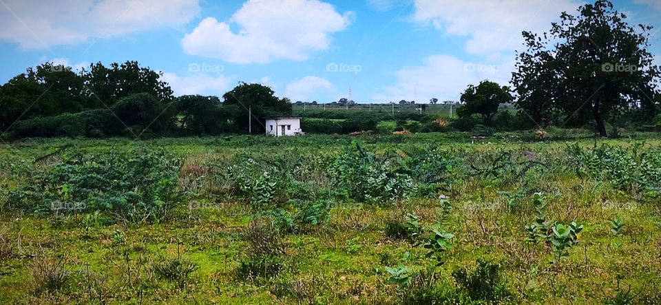 leave alone some where