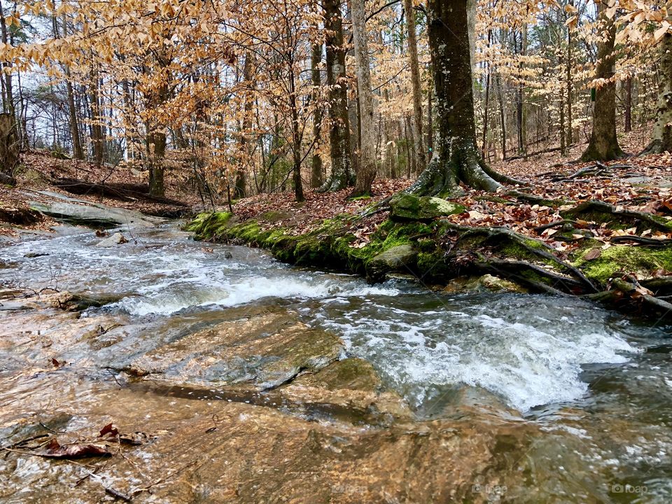 Stream in the fall