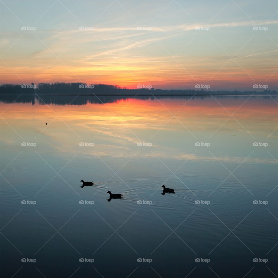Lake life, sunset