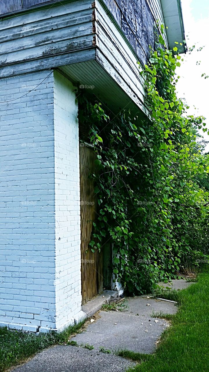 White Brick Building l