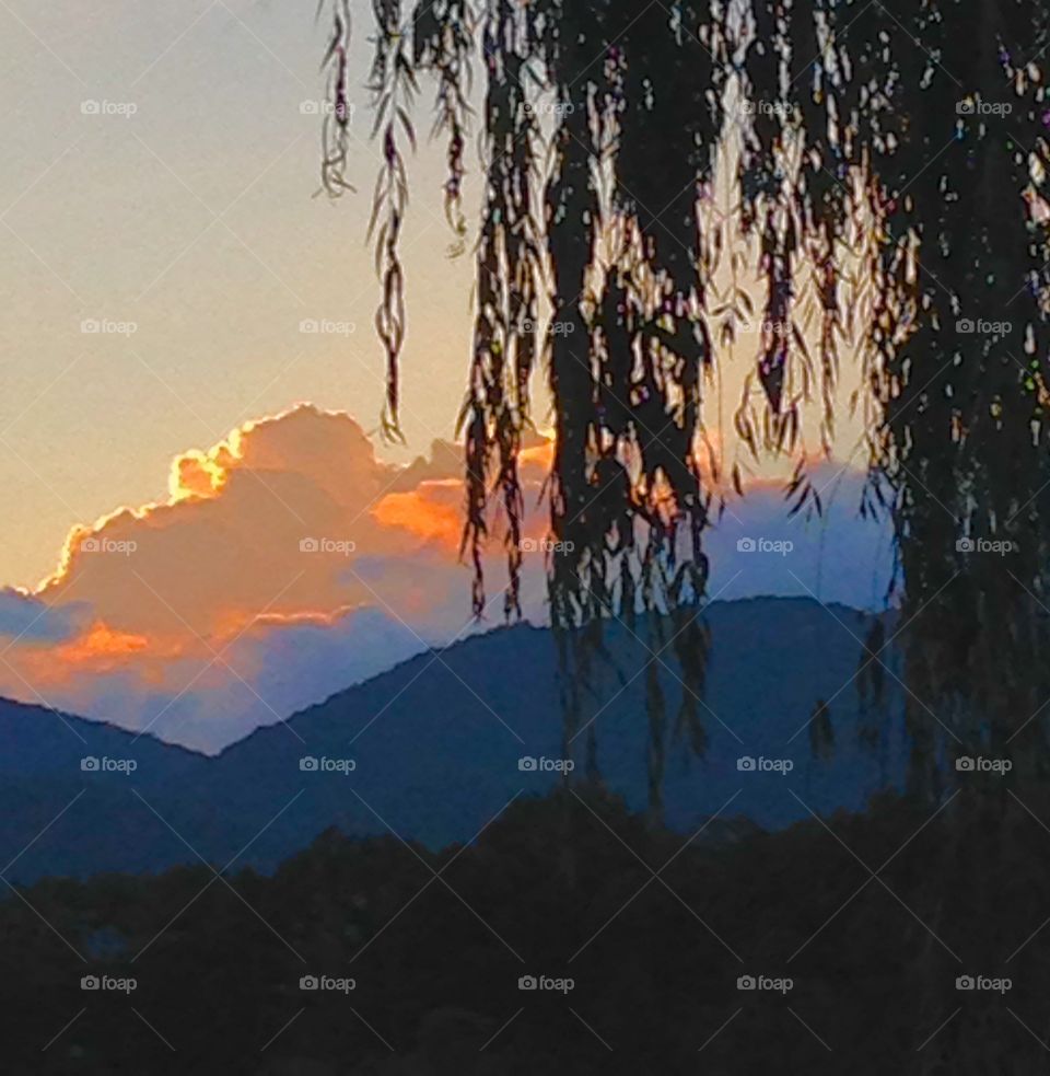 Golden Sunset. Brilliant clouds reflect the setting sun
