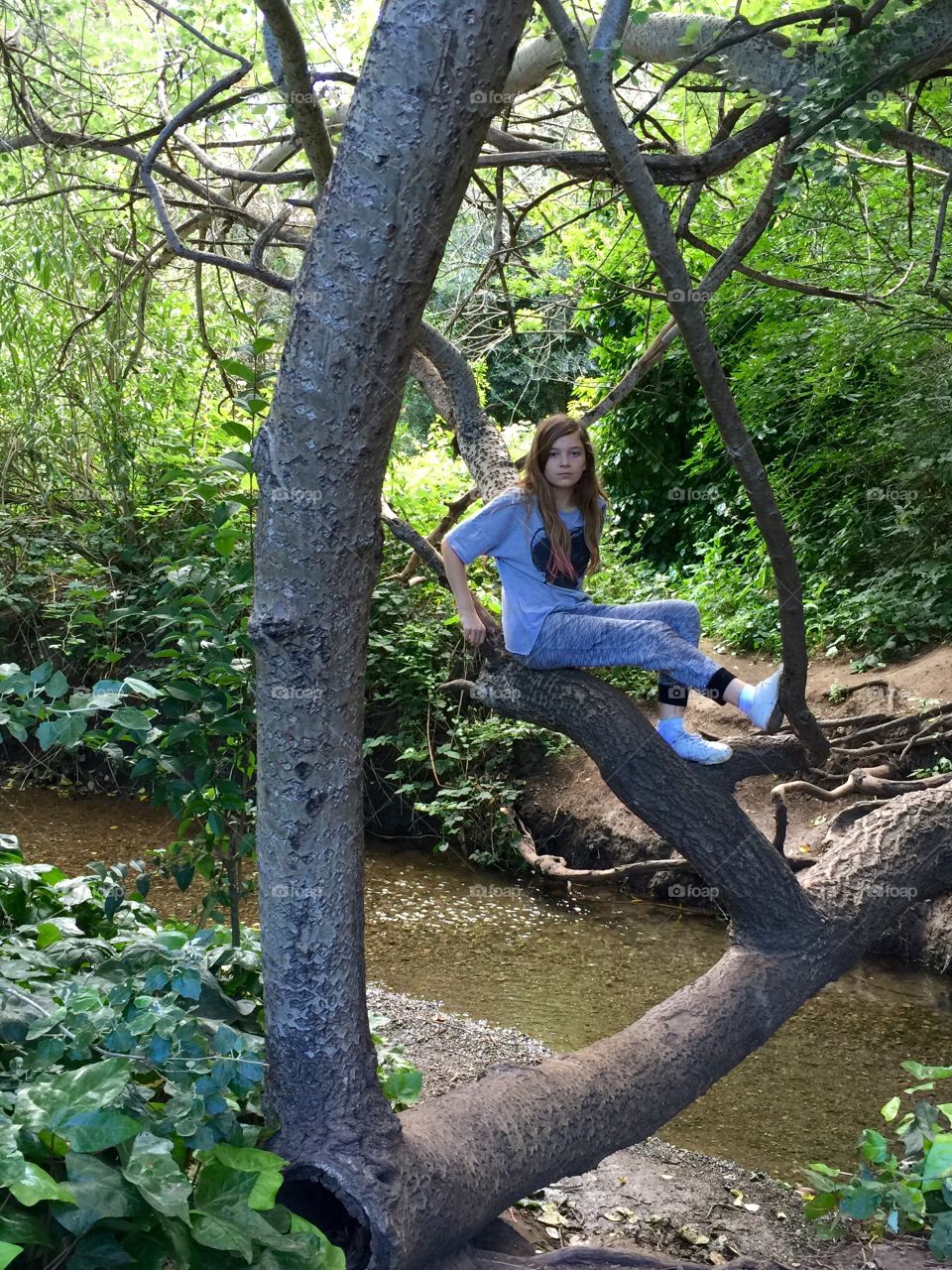 Child sitting on a tree