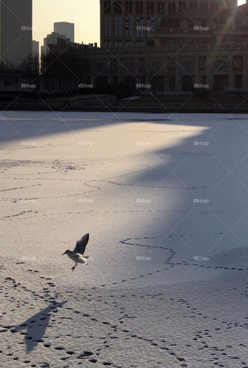 waiting for a new spring 