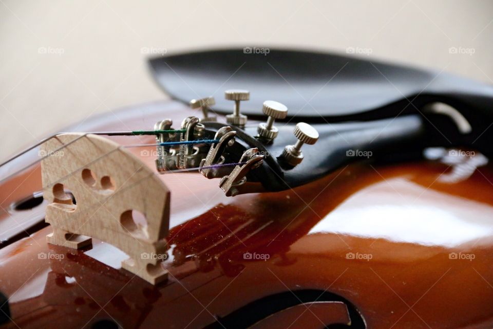 Violin 