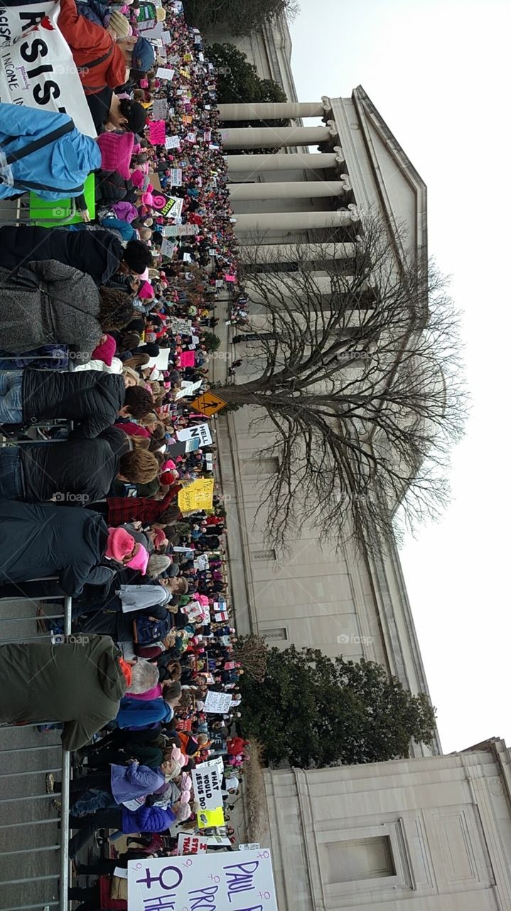 One of the photos I took while at the Women's March in Washington, DC