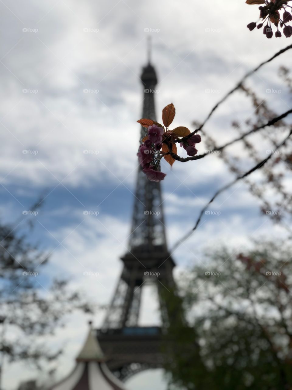 Oh hi, Paris! 