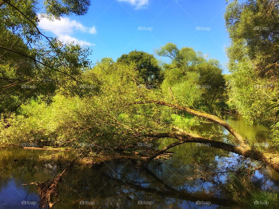 River landscape 